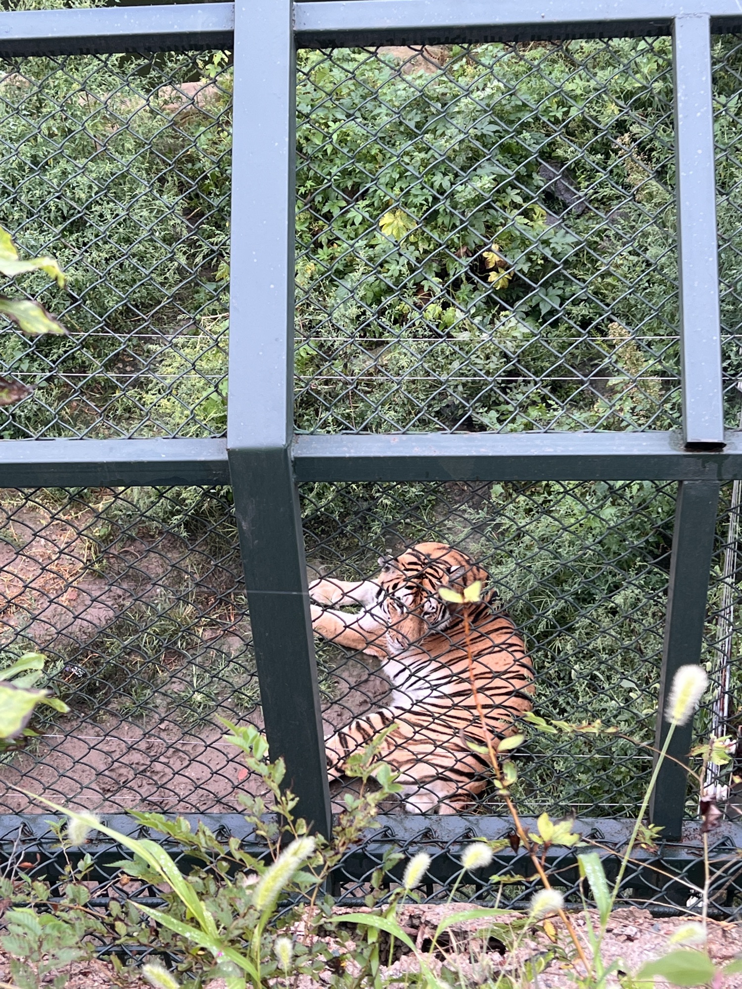 长春市动植物公园旅行图片 2