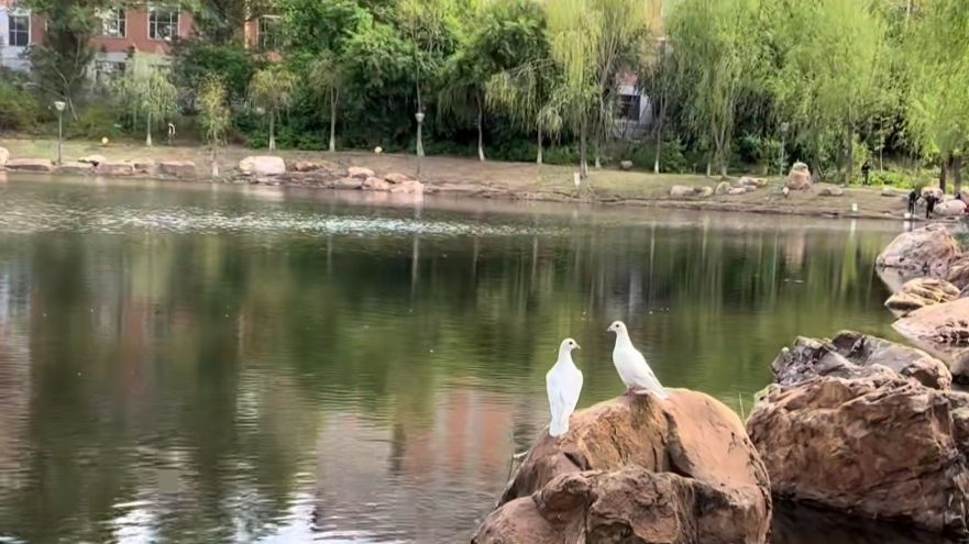 裕华园旅行图片 3