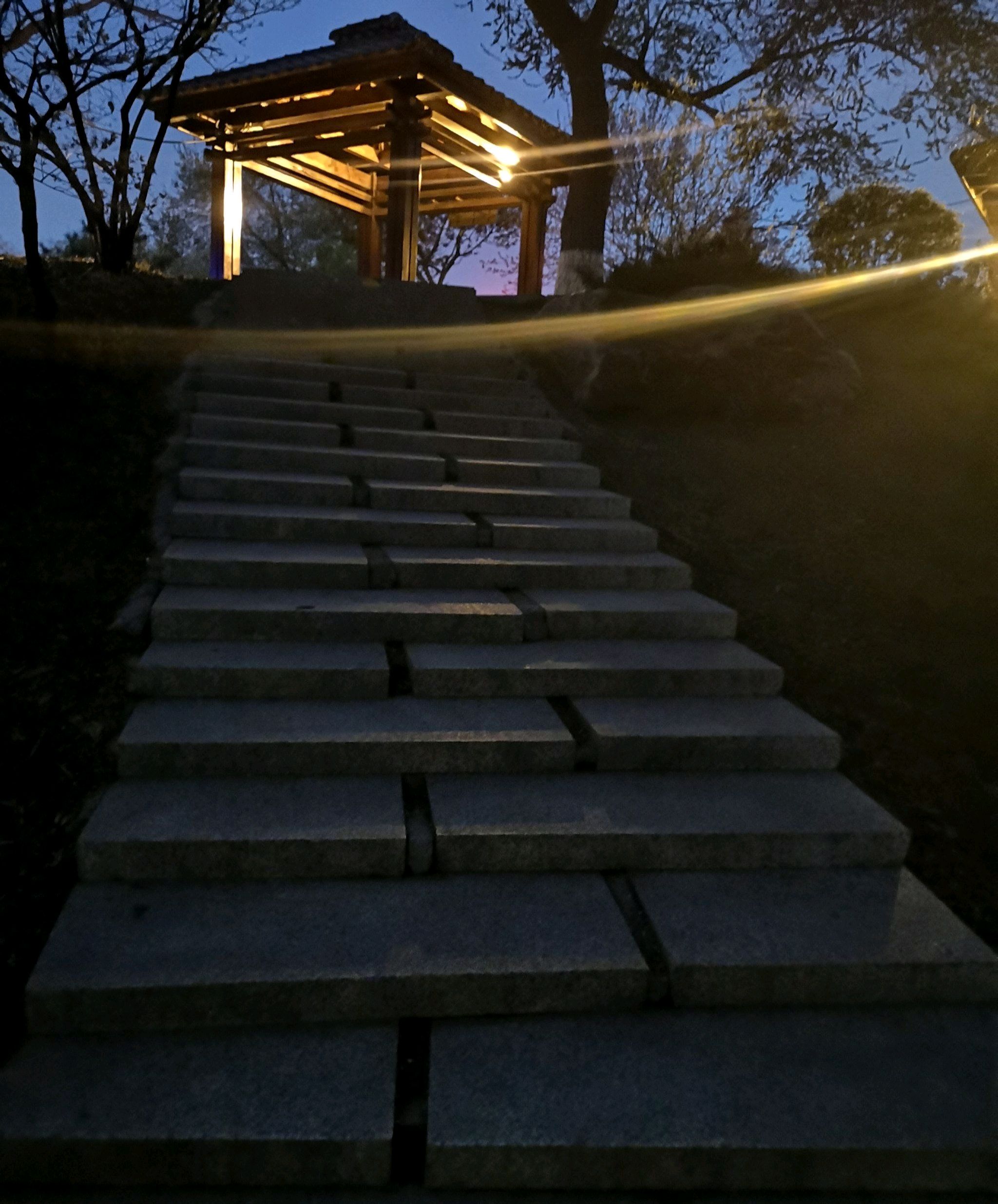 裕华园旅行图片 2