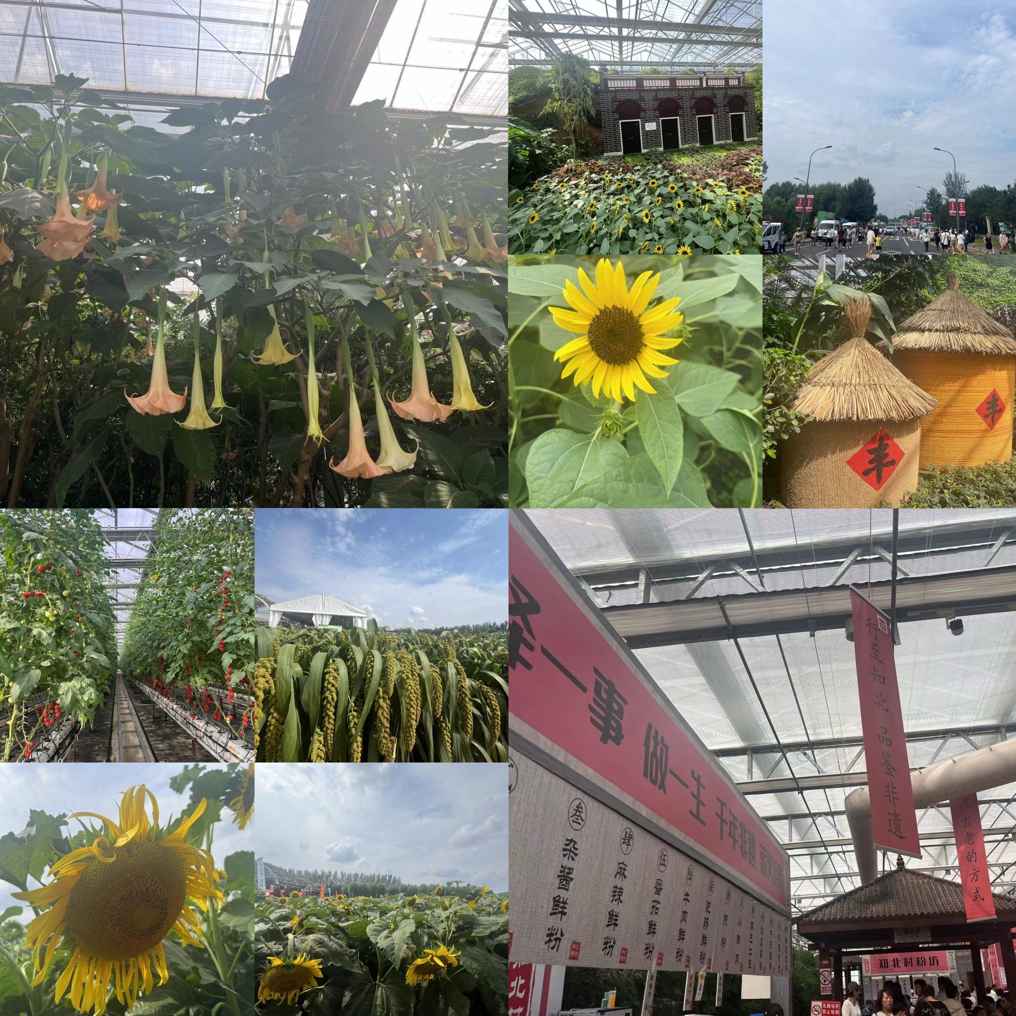 长春农业博览园旅行图片 3