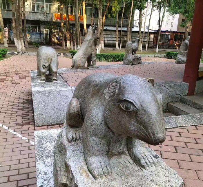 德惠公园旅行图片 1
