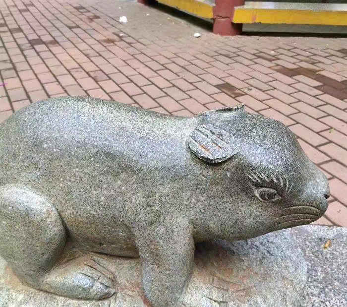 德惠公园旅行图片 2