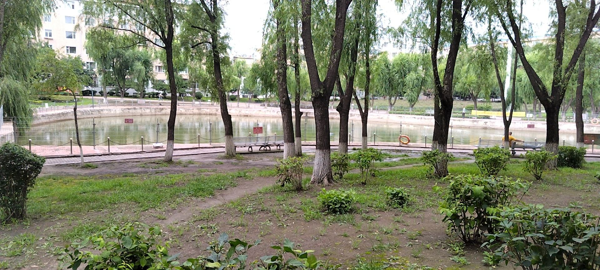 德惠公园旅行图片 1