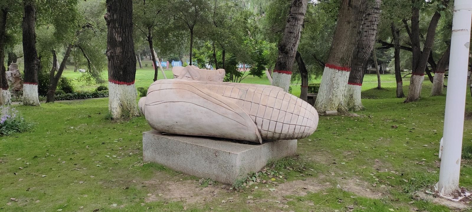 人民公园旅行图片 3