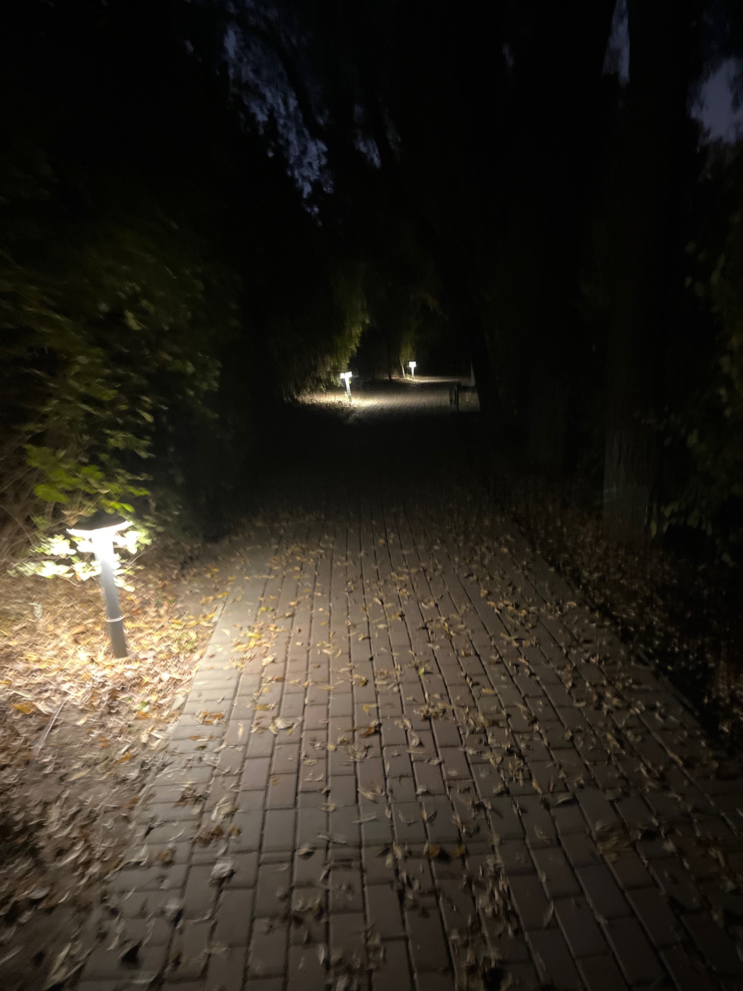 回忆岛旅行图片 3