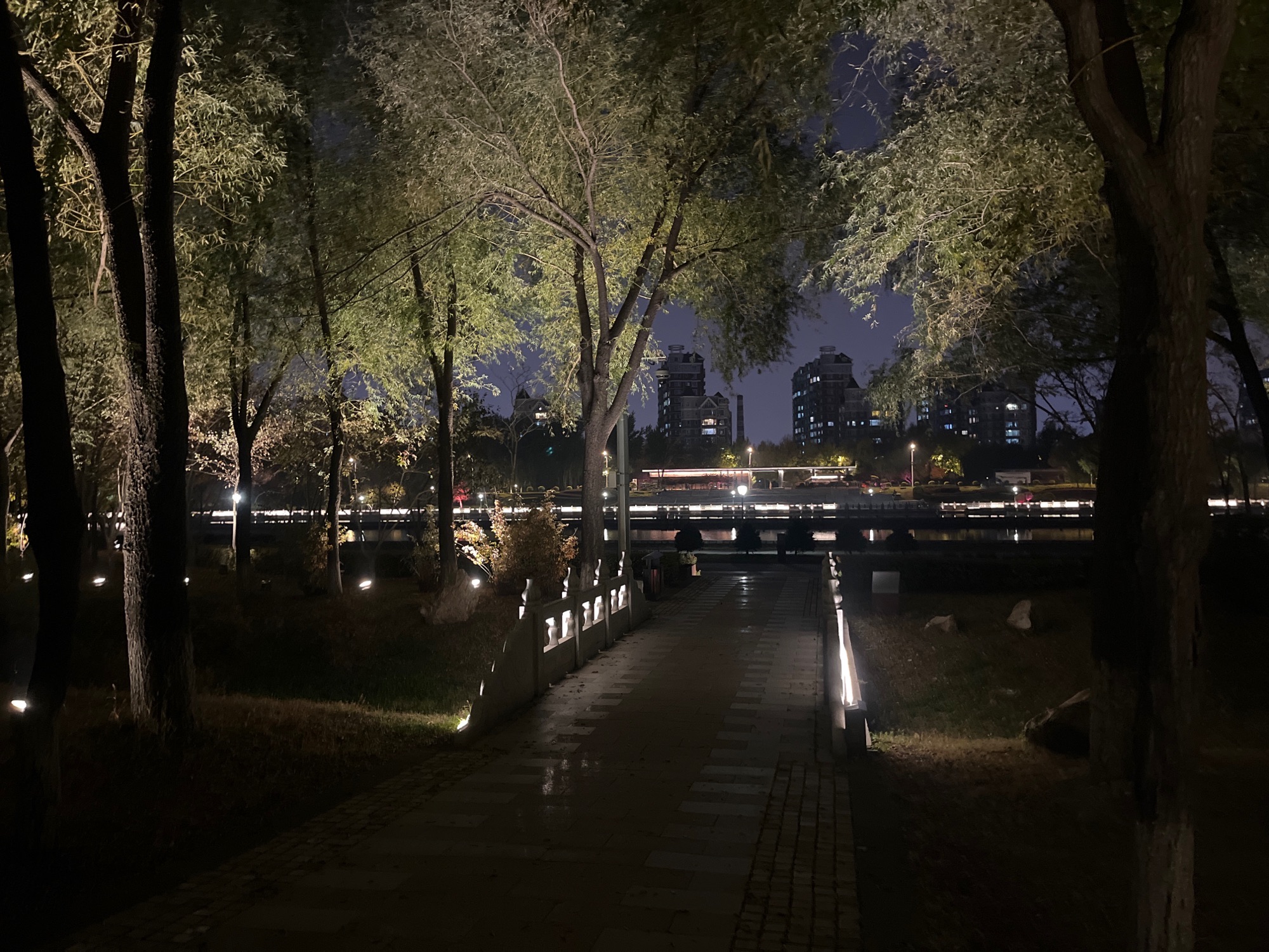 回忆岛旅行图片 2