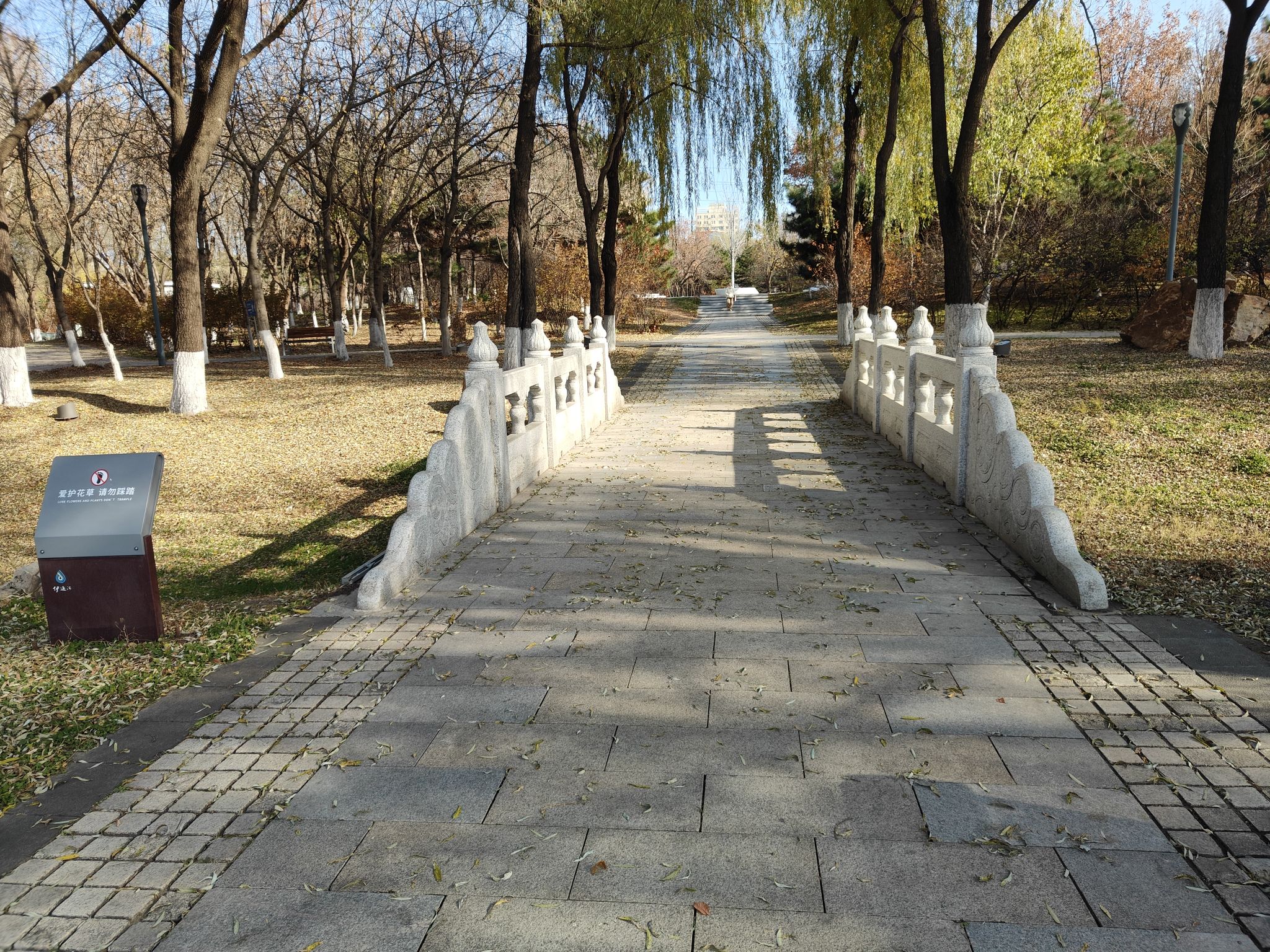 回忆岛旅行图片 3