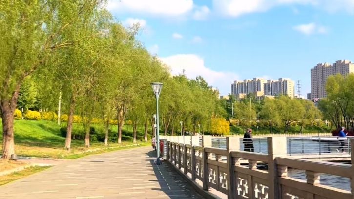 回忆岛旅行图片 1