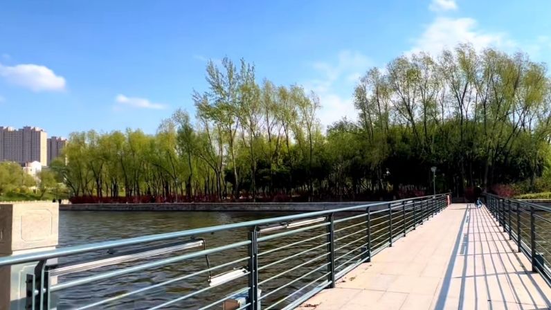 回忆岛旅行图片 2