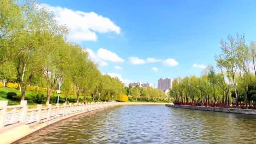 回忆岛旅行图片 3