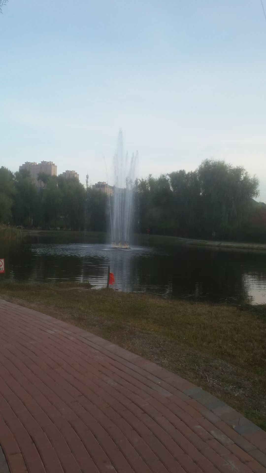 回忆岛旅行图片 1