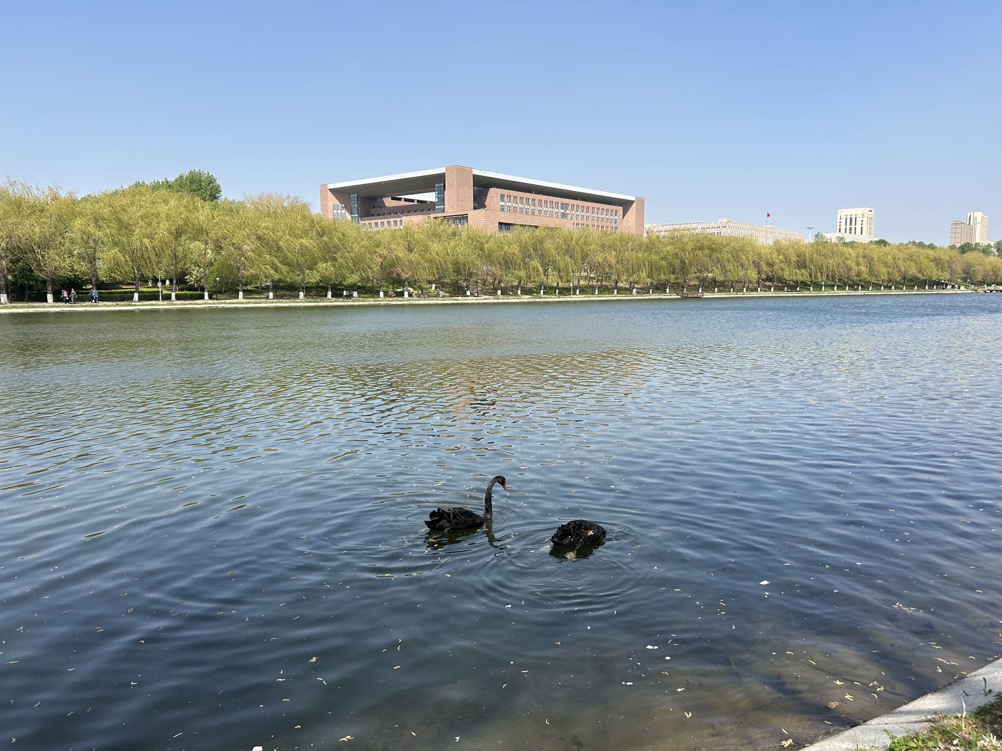 友谊公园旅行图片 2