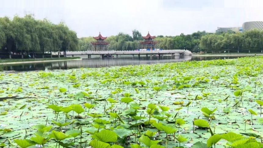 友谊公园旅行图片 3
