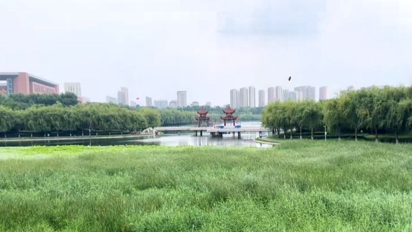 友谊公园旅行图片 2
