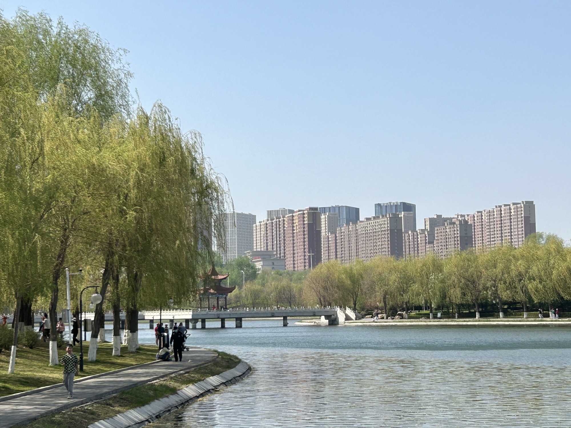 友谊公园旅行图片 3