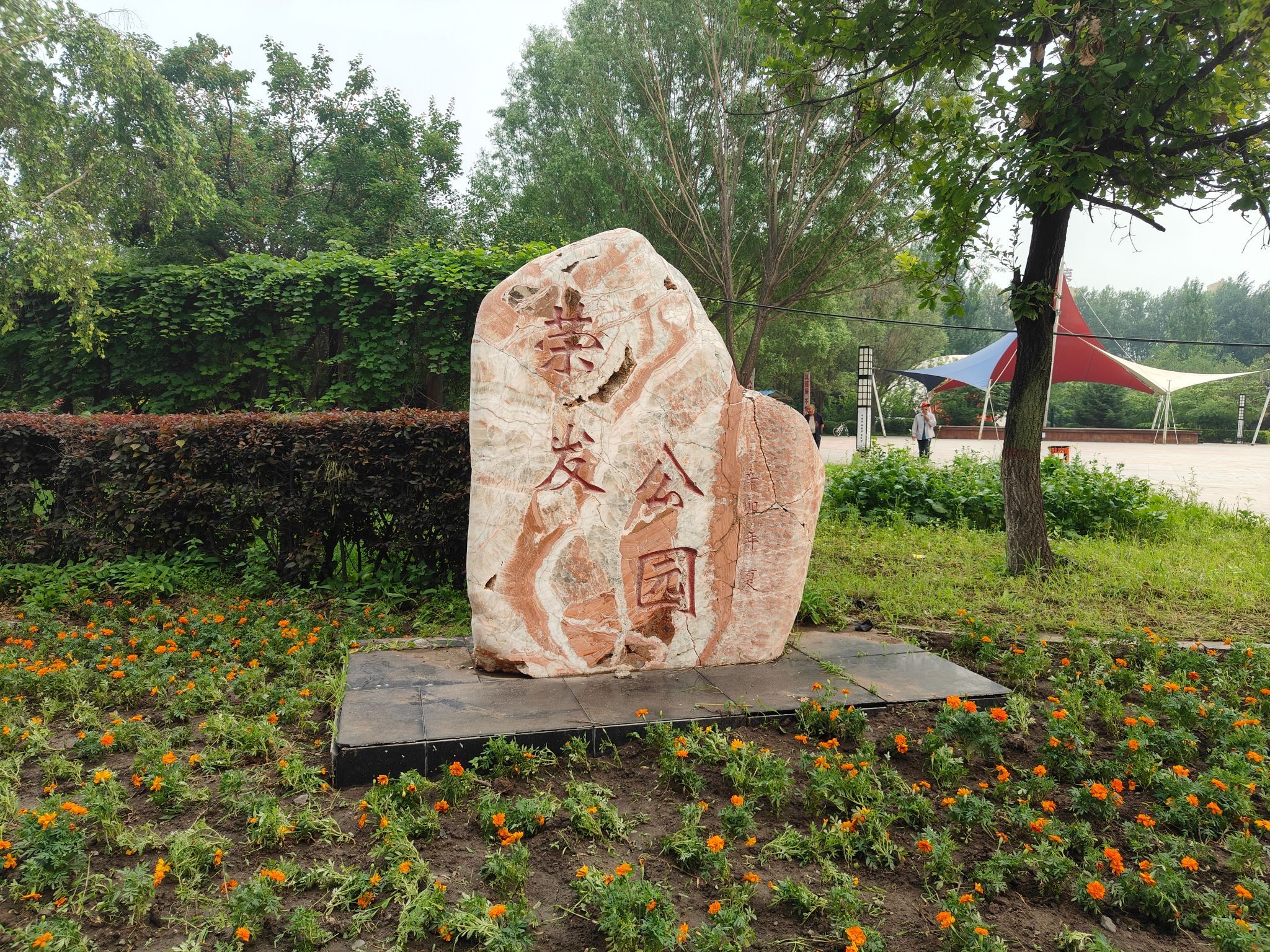 荣发公园旅行图片 1