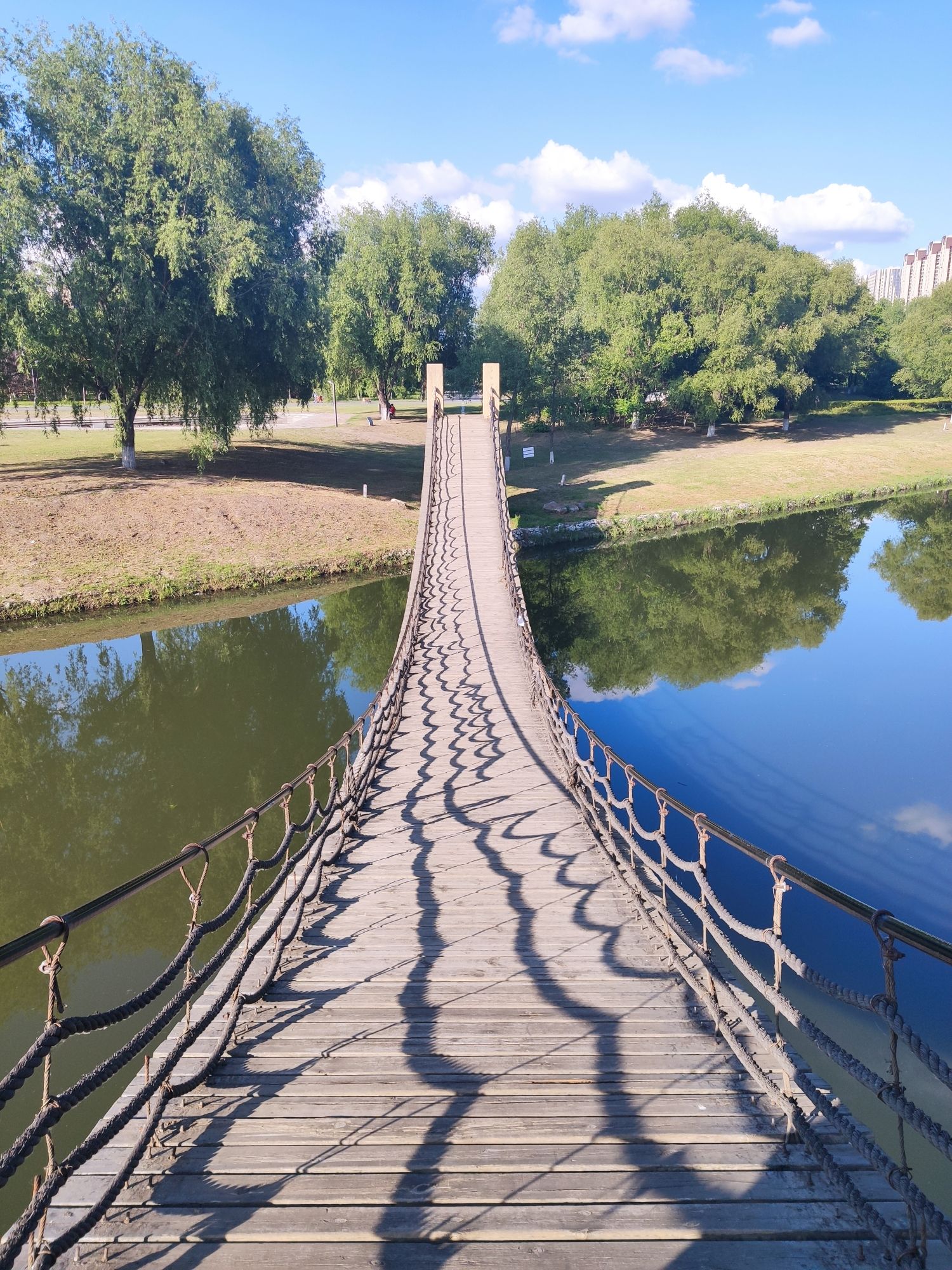 长春国际汽车公园旅行图片 2