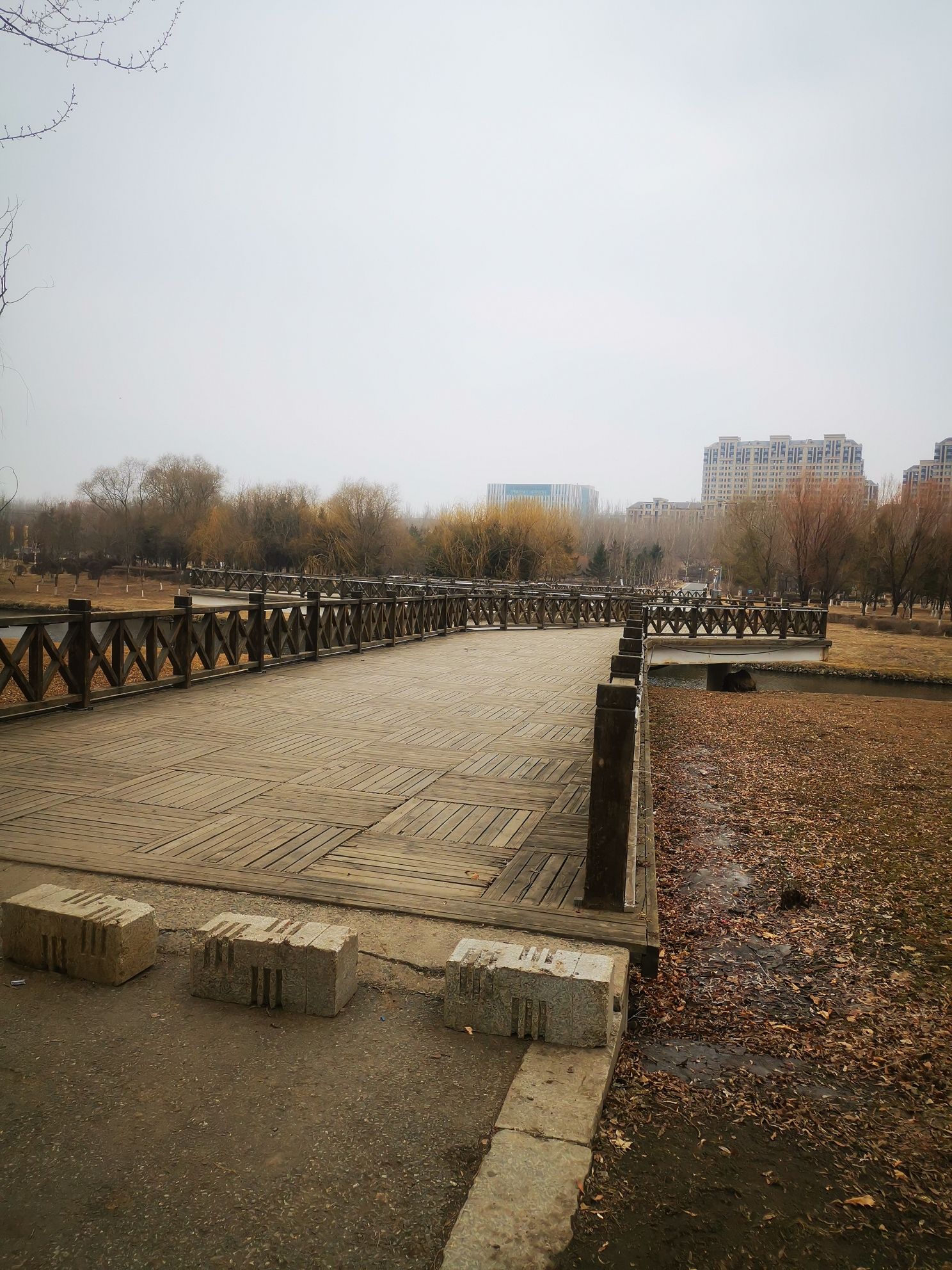 长春国际汽车公园旅行图片 1