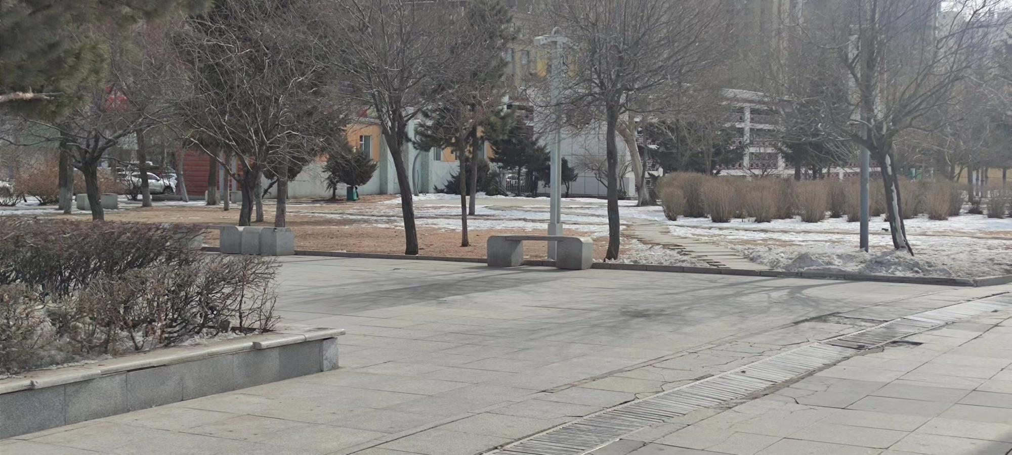 农安县龙府广场旅行图片 3