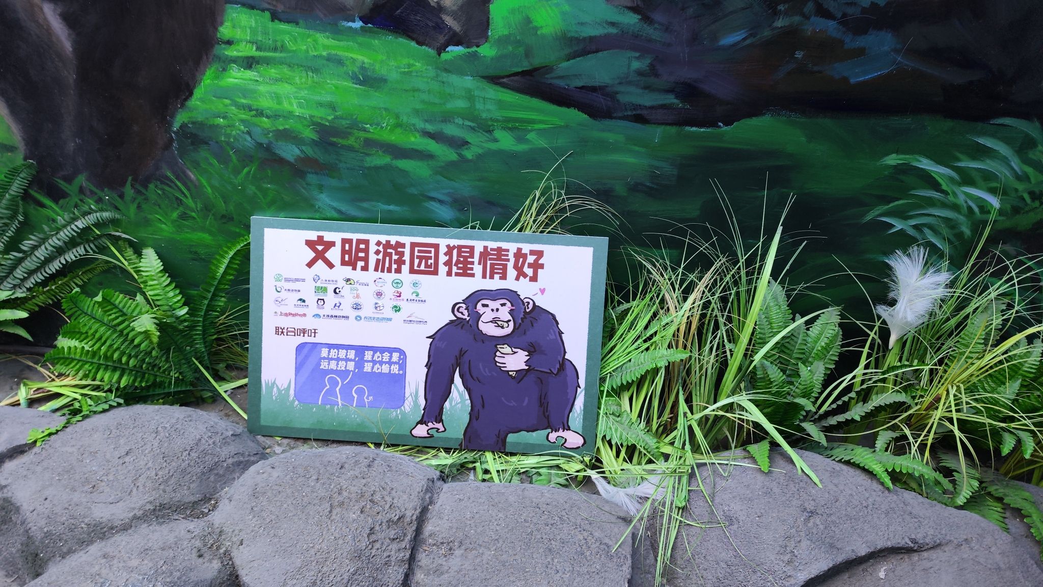 动植物公园猩猩馆