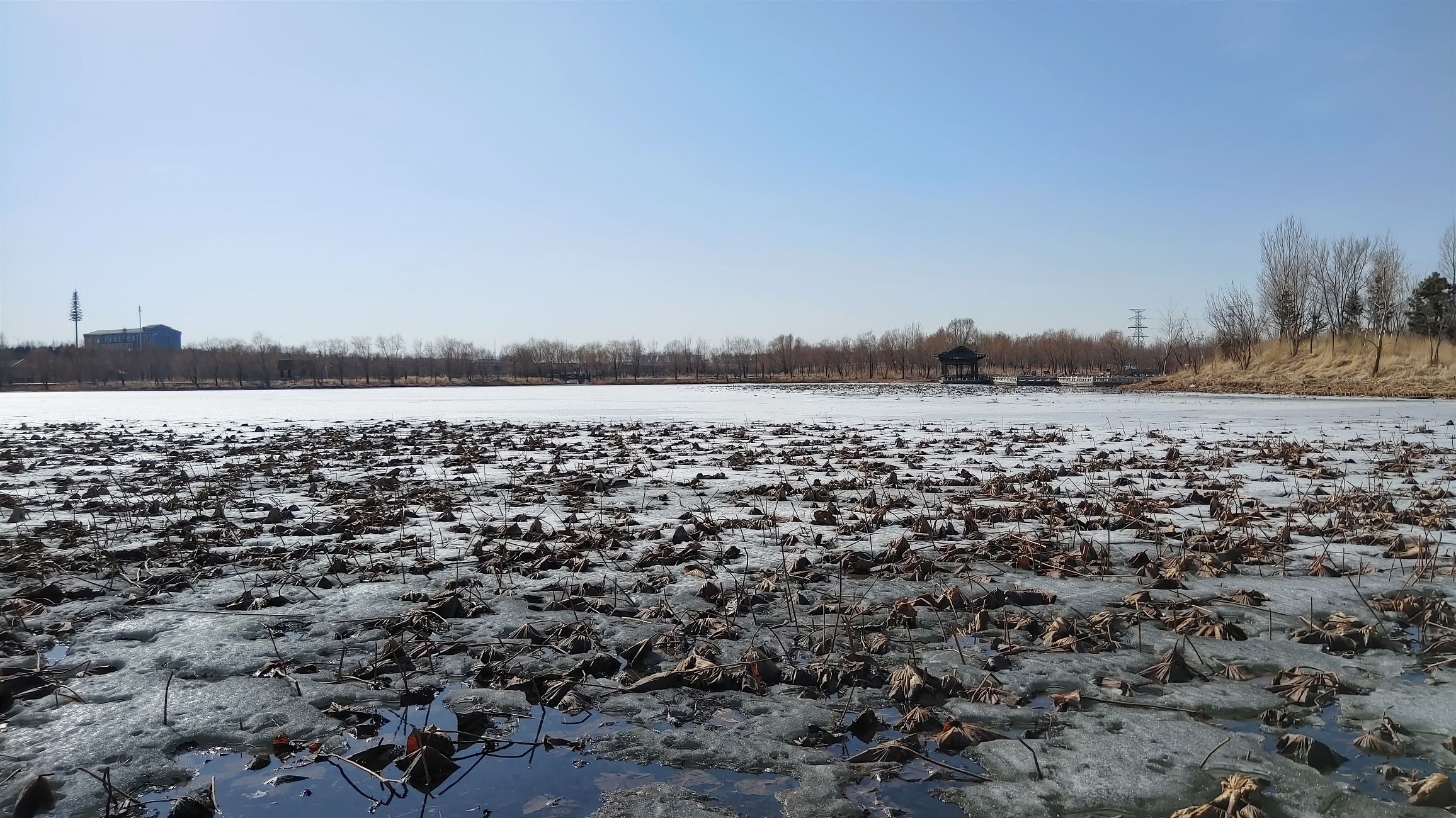 长春北湖湿地公园旅行图片 2