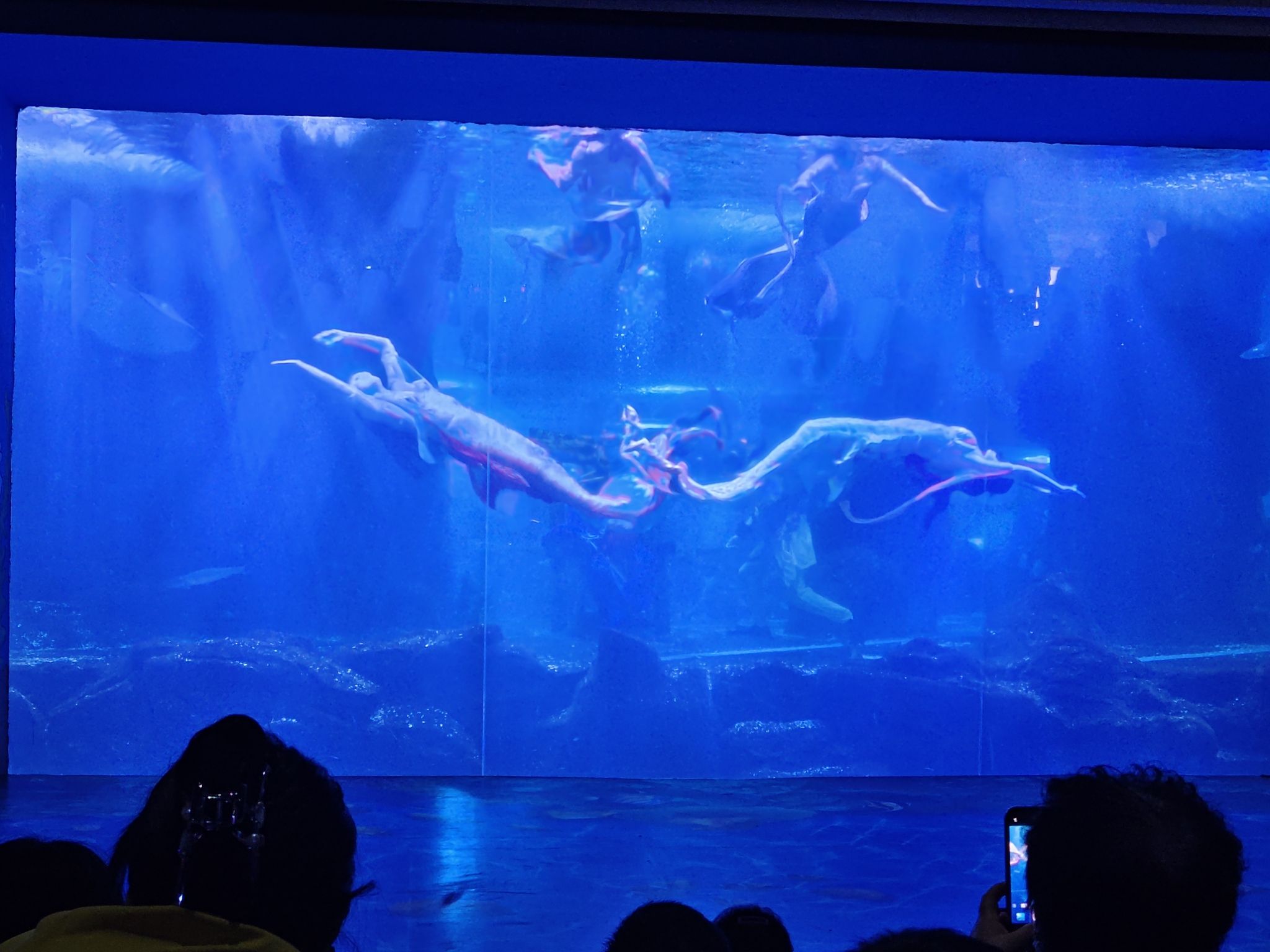长春中泰海洋世界旅行图片 1