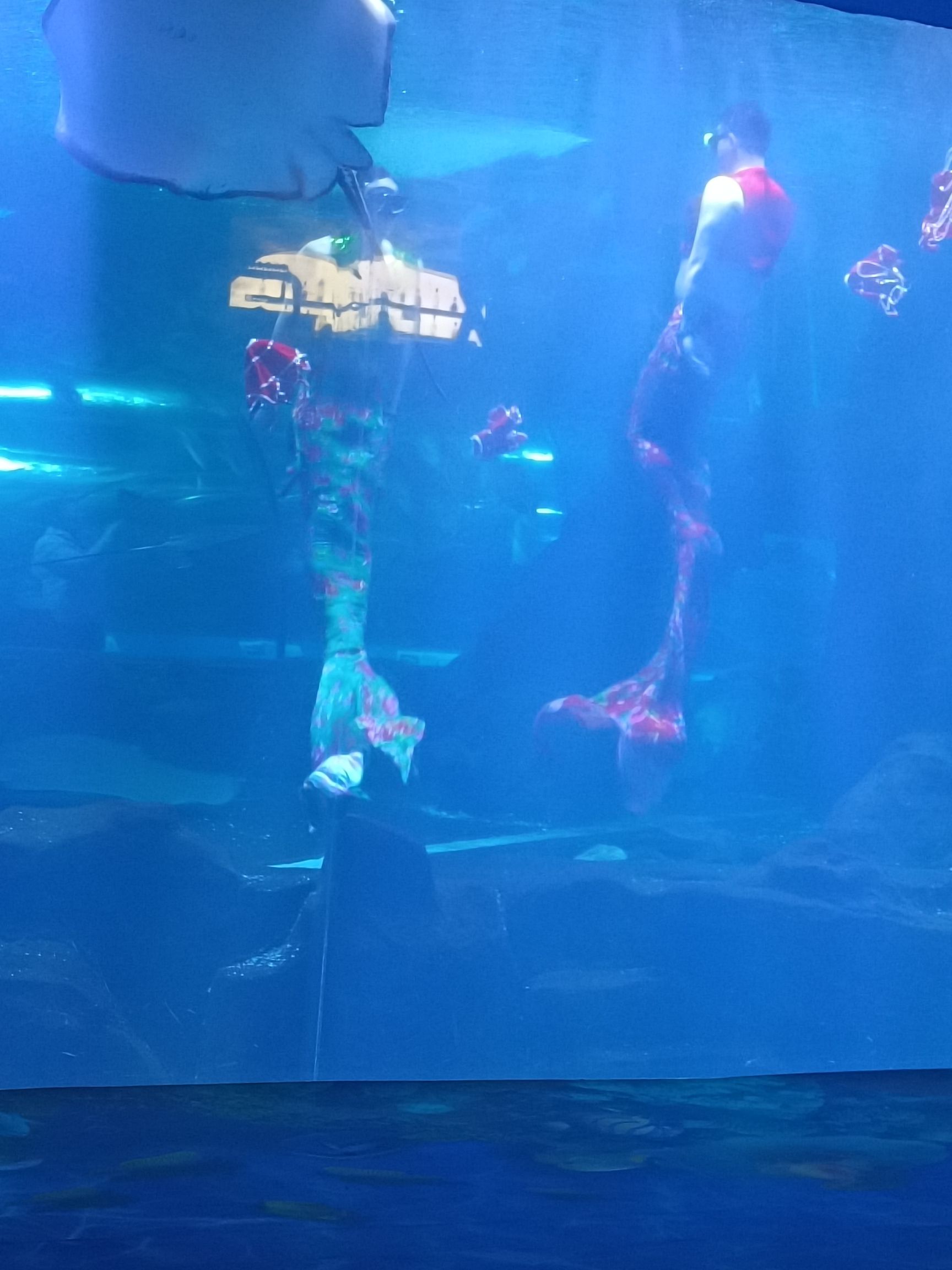 长春中泰海洋世界旅行图片 2