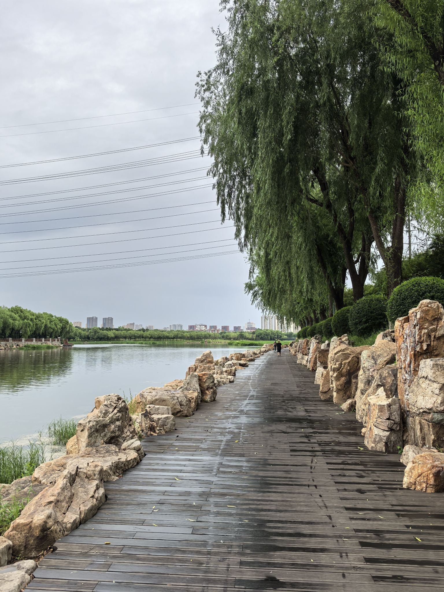 月荷文化公园旅行图片 2