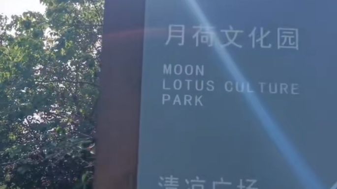 月荷文化公园旅行图片 2