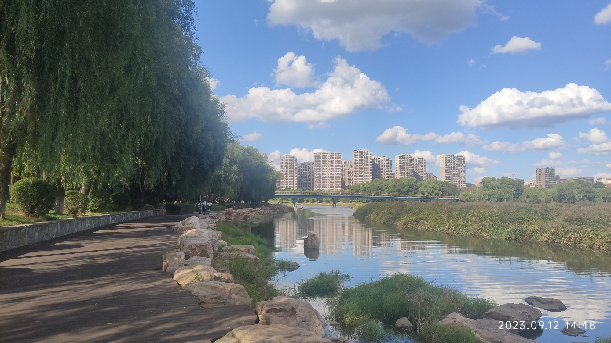 月荷文化公园旅行图片 2