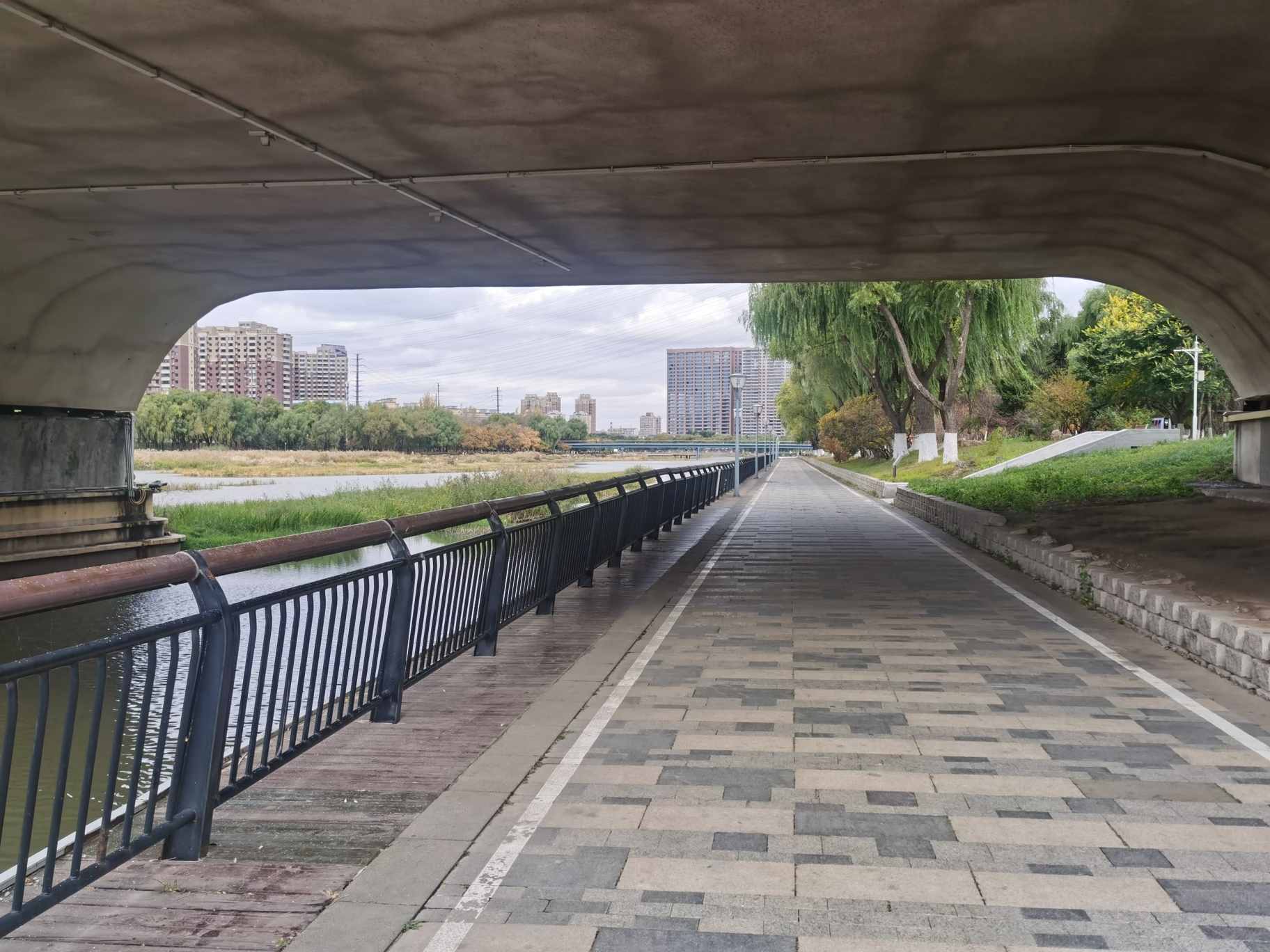 月荷文化公园旅行图片 2