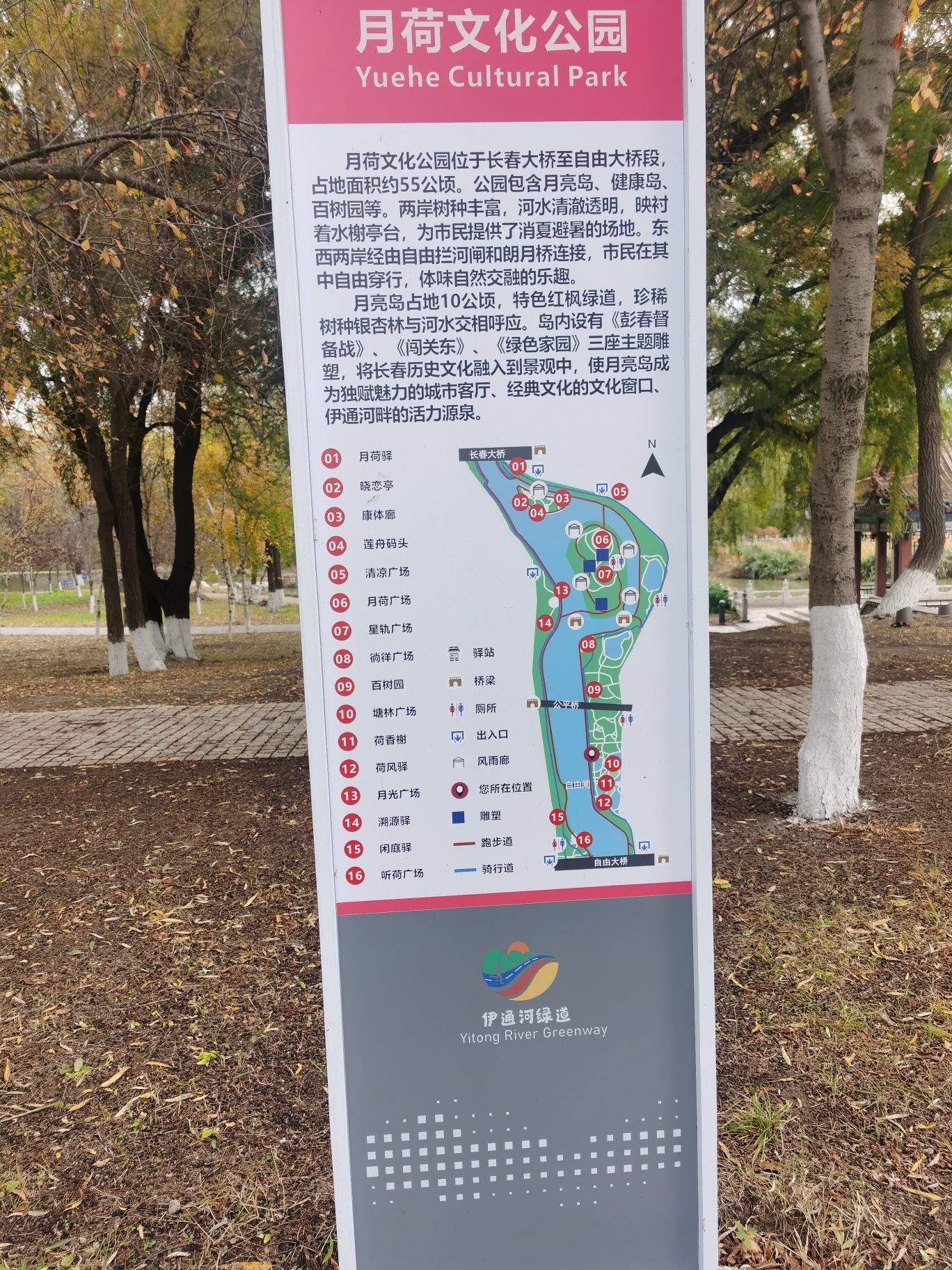 月荷文化公园旅行图片 1