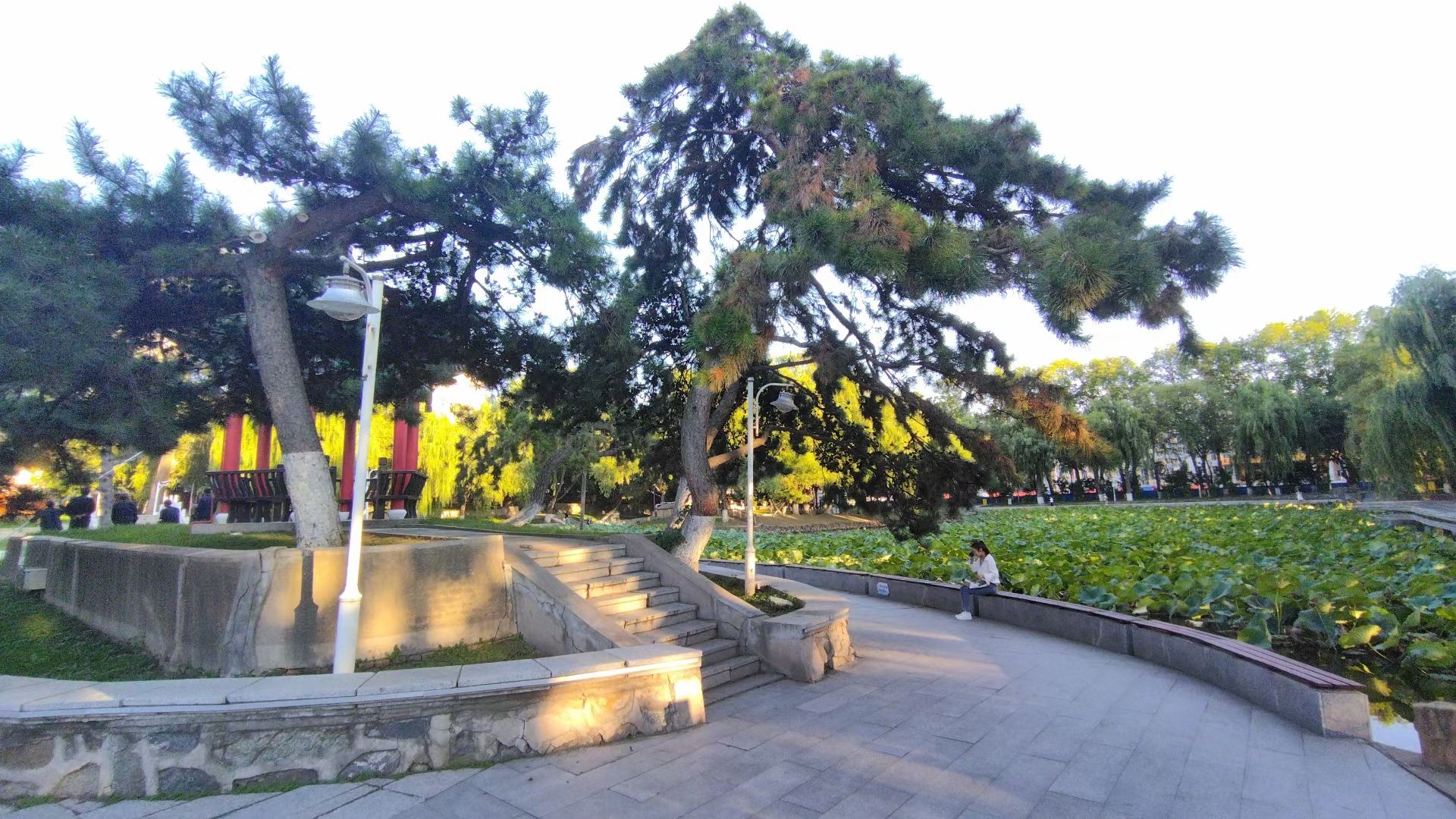 静湖旅行图片 3