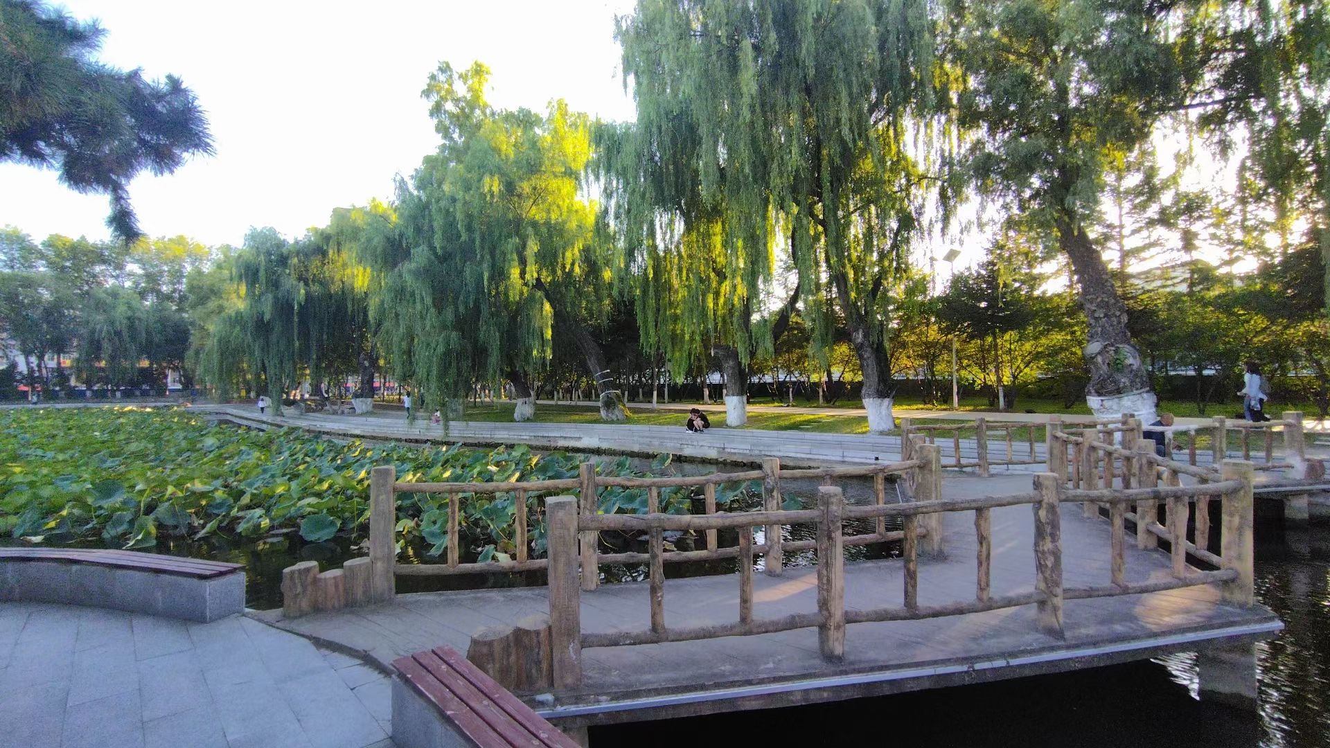 静湖旅行图片 2