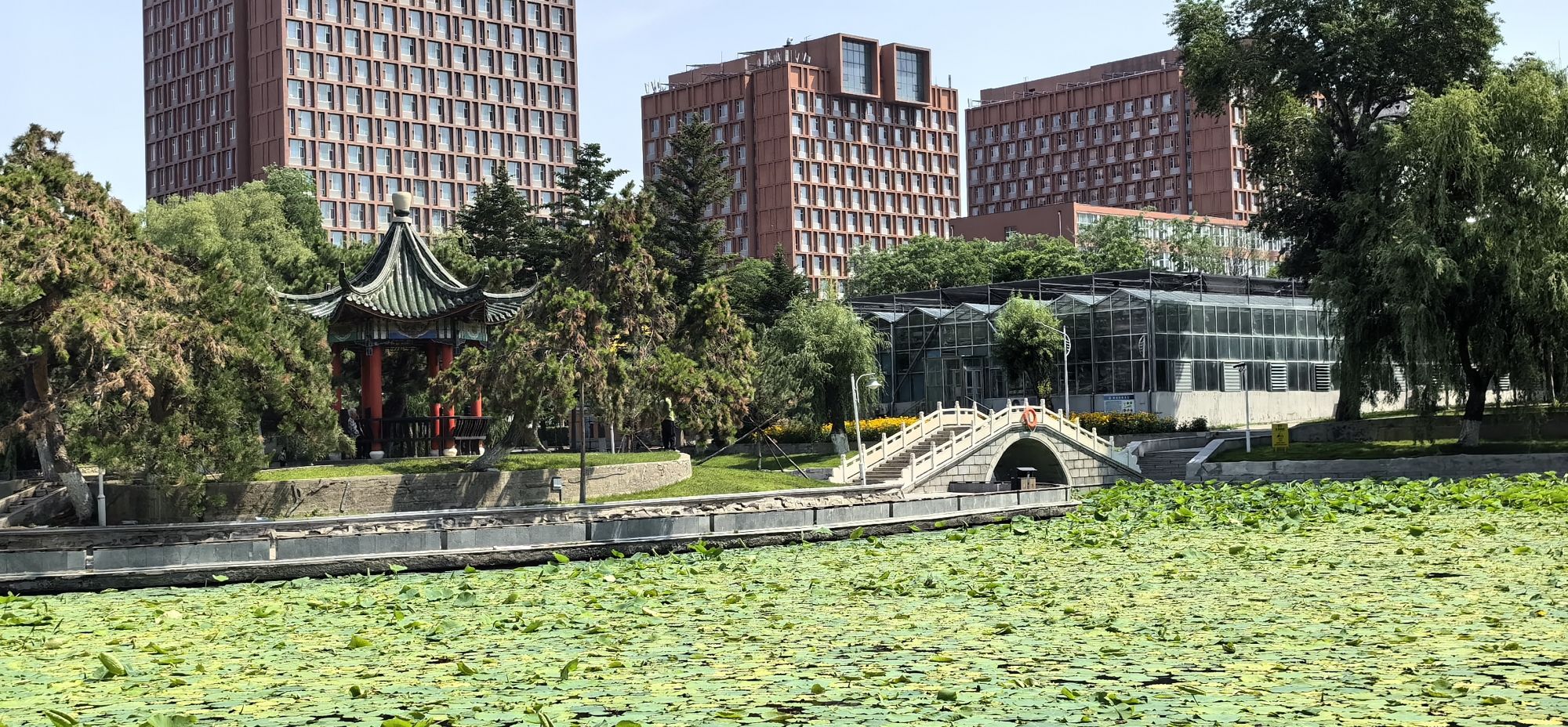 静湖旅行图片 2
