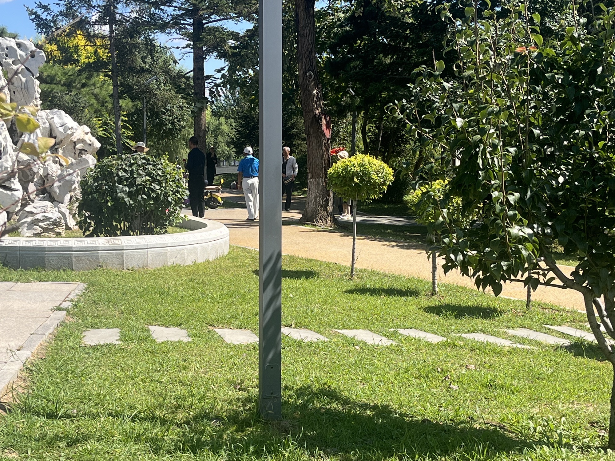 长春市宽城区君子兰公园旅行图片 2
