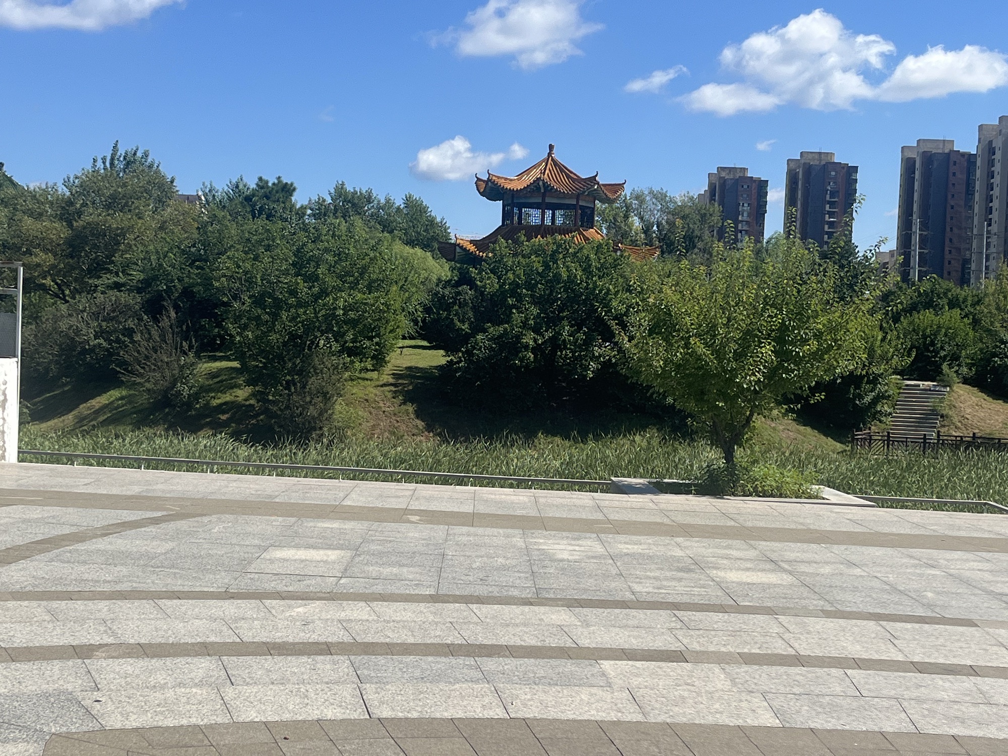 长春市宽城区君子兰公园旅行图片 3