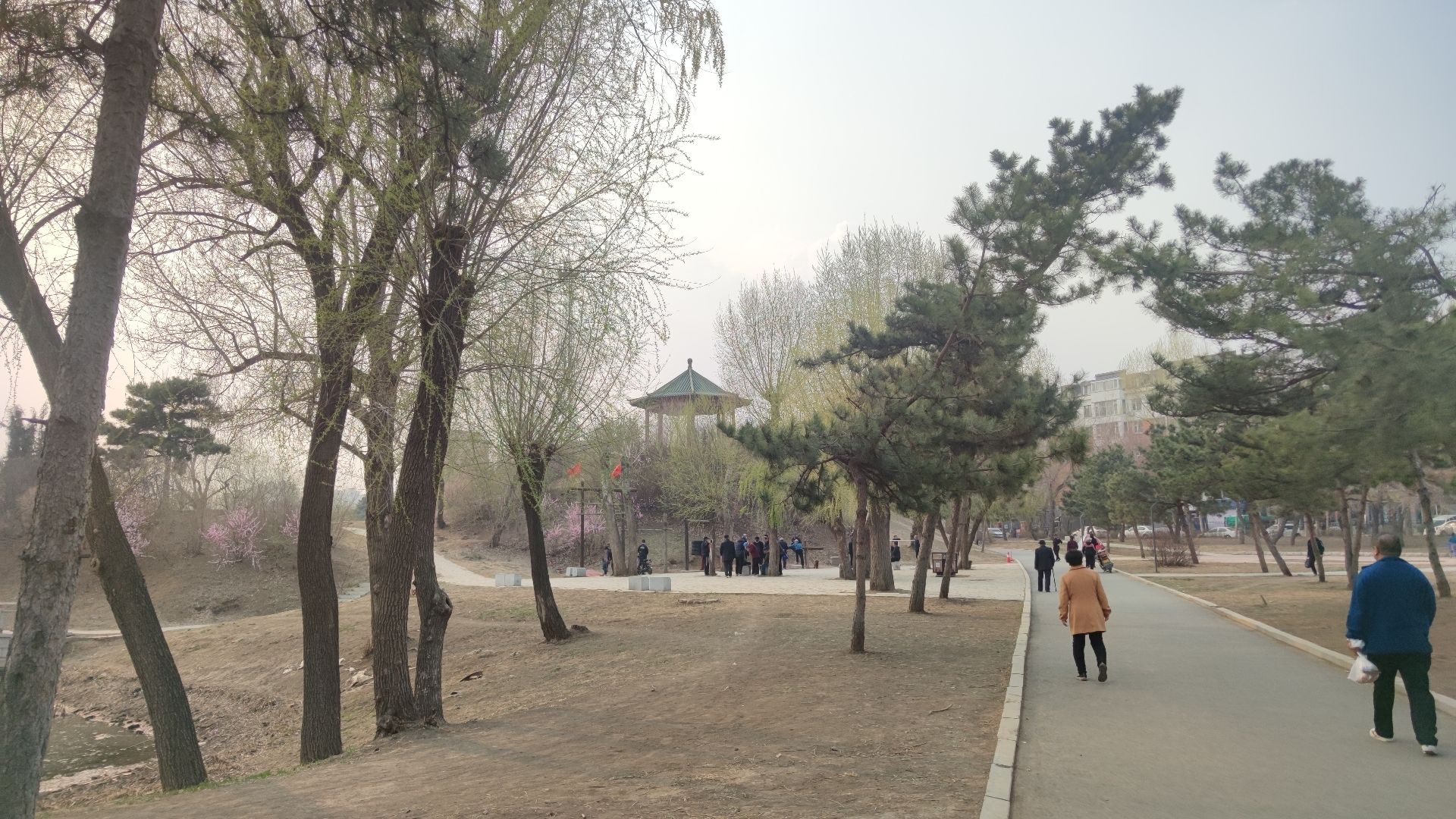 长春市宽城区君子兰公园旅行图片 2