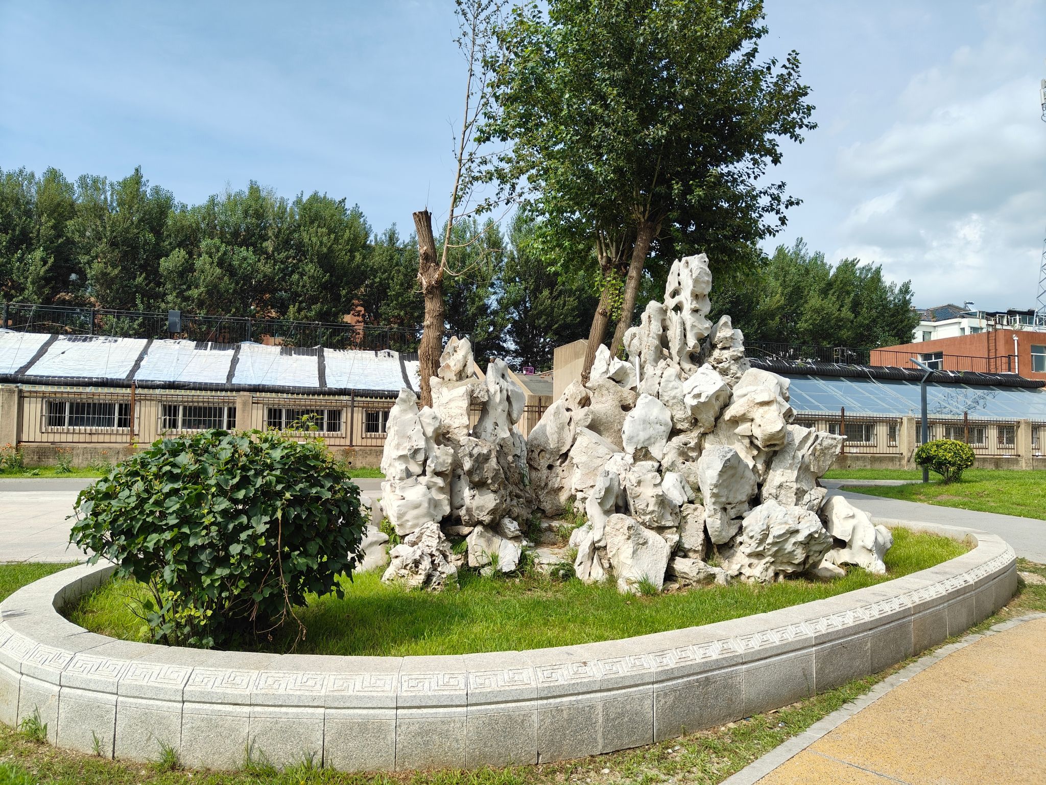 长春市宽城区君子兰公园旅行图片 3