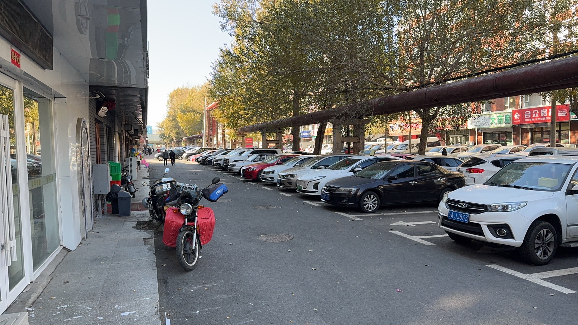 长春市宽城区君子兰公园旅行图片 1