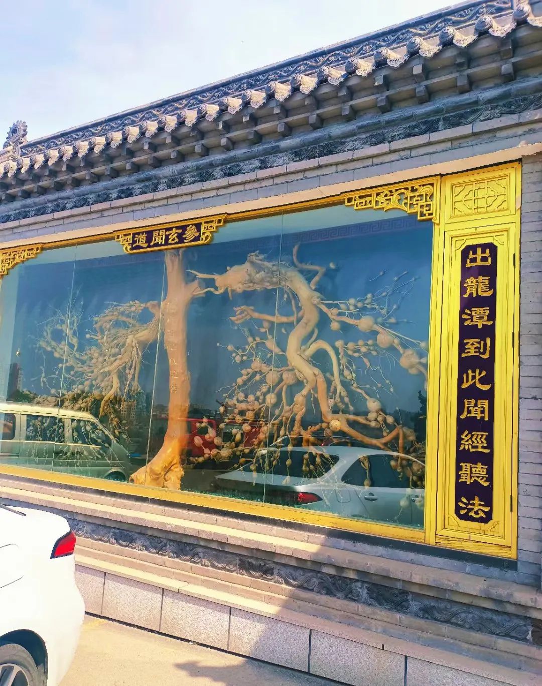 炮台山旅行图片 3