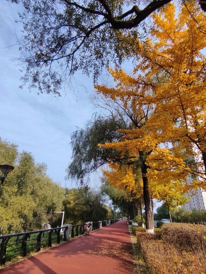 江滨公园旅行图片 1