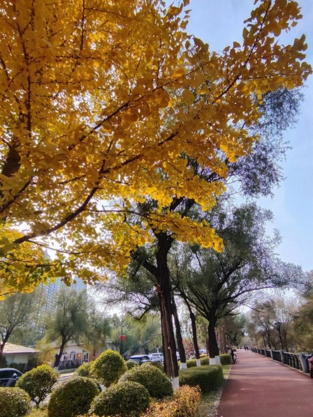 江滨公园旅行图片 2