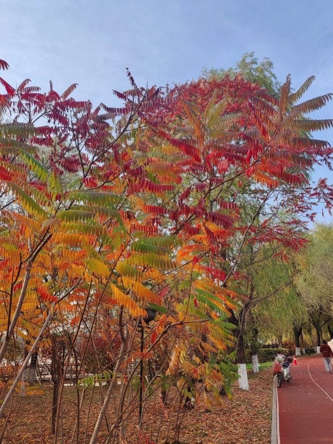 江滨公园旅行图片 3