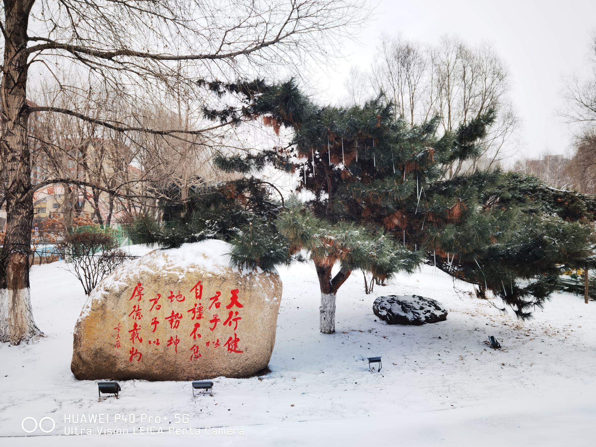 江滨公园旅行图片 3