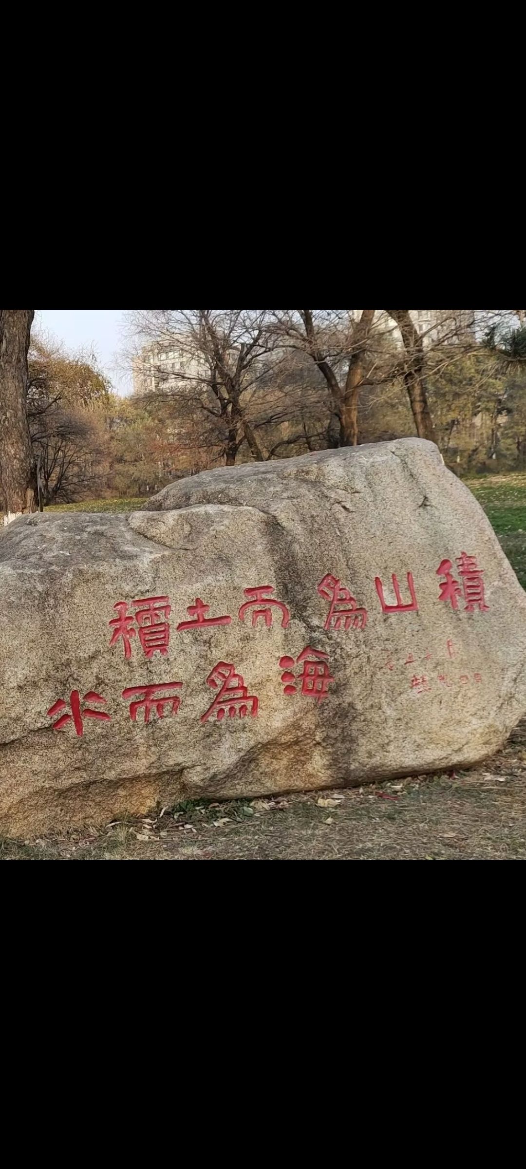 江滨公园旅行图片 1
