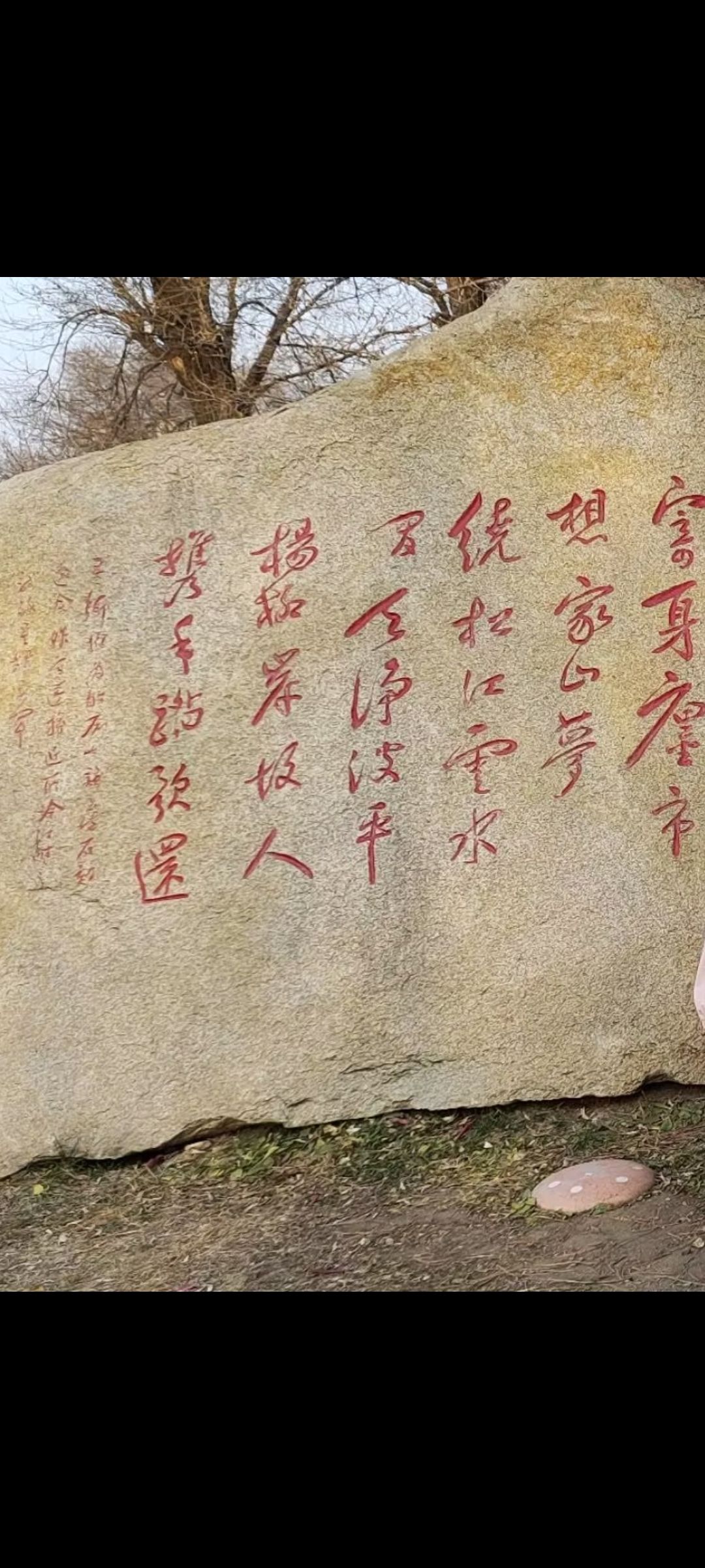 江滨公园旅行图片 2