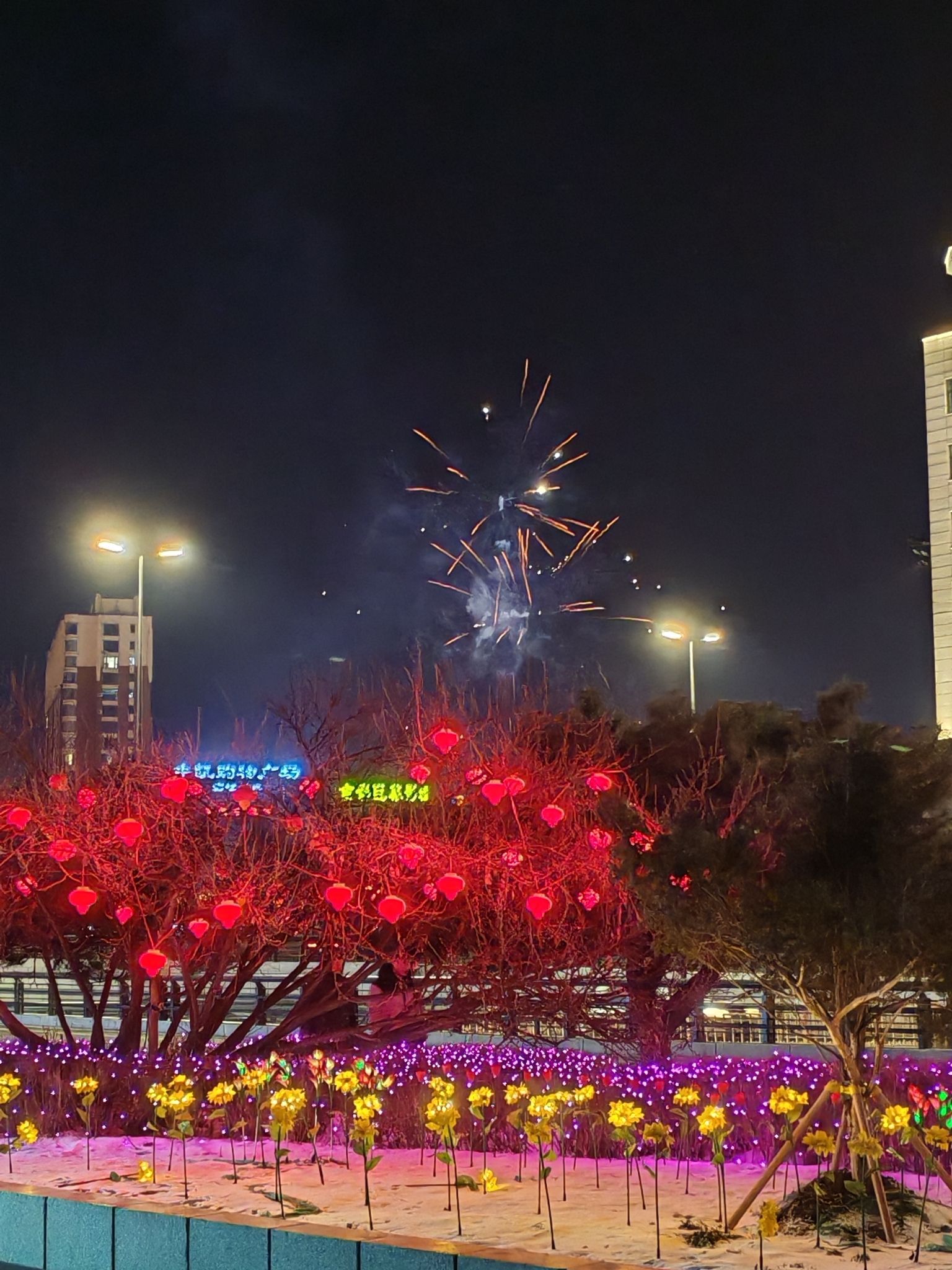 临江门广场旅行图片 2