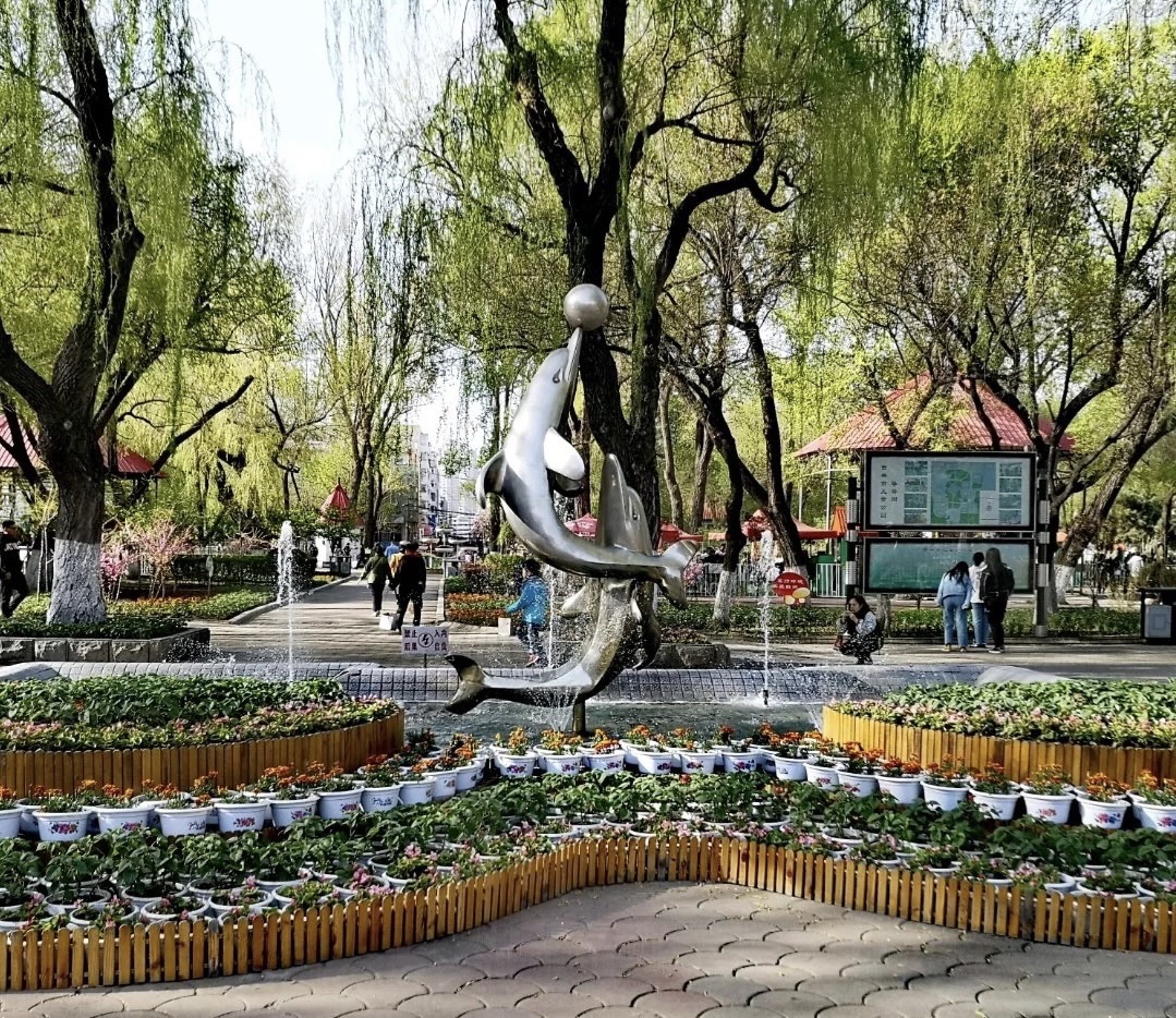 儿童公园旅行图片 2