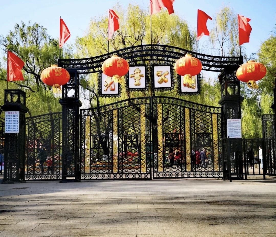 儿童公园旅行图片 1